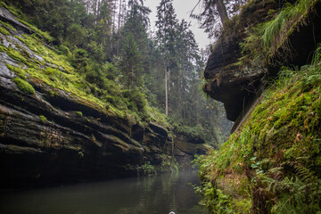 Pure nature, landscape shot in a gorge with a river. European forest in Hřensko, Kamnitzklamm,...
