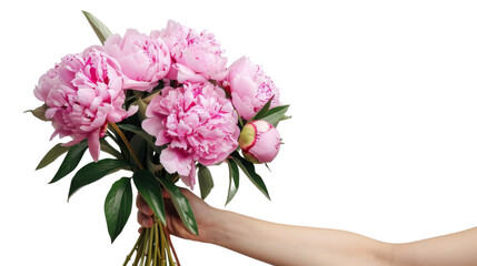Human hand holding bouquet of flowers on white background