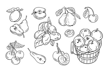 Ordinary fruits from mild climate. Set of black doodles drawings. Vector monochrome sketchy illustrations of sweet fruits on white background. Ideal for coloring pages, tattoo, pattern