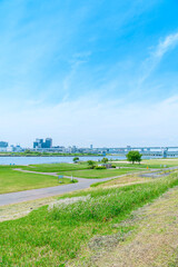 初夏に広がる青空・河川敷