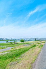 Obraz premium 初夏に広がる青空・河川敷