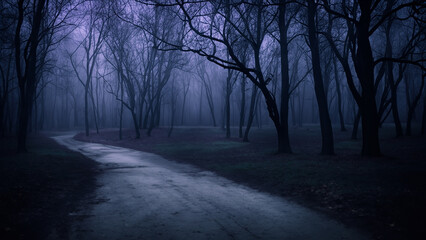 Spooky Foggy Forest Path at Night