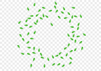 Green Vegetation Background Transparent Vector. Leaves Fresh Frame. Simple Texture. Greenish Vitality Design. Greenery Elegant.