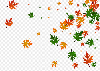 Red Foliage Background Transparent Vector. Leaves Beautiful Texture. Ocher Collection. Forest Frame. Gold Maple Seasonal.