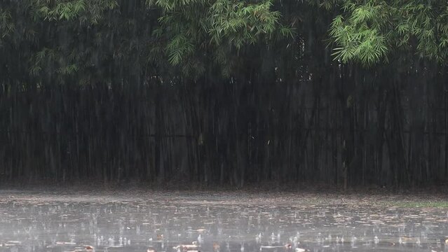 Heavy rain falling on the road surface is caused by seasonal rainstorms and heavy rainstorms reduce visibility and cause dangerous visibility and slippery roads. rain storm background
