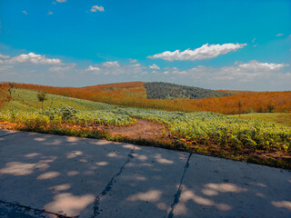 autumn in the mountains