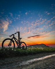 Mountain Bike GT © Krystian