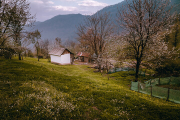 Obraz premium A beautiful village located in Azerbaijan