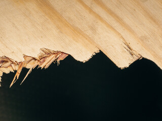 wood planks texture for background