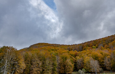 Molise, Mainarde. Autumn landscape. Foliage