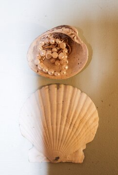 Pearl Chain Necklace with Seashells