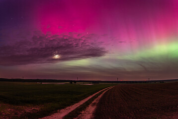 zorza polarna, polska, Gorzów © Daniel Folek
