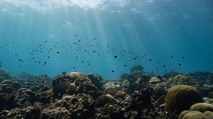 Sun rays breaking over a coral reef off Fuvahmulah, Maldives
