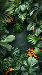 tropical leaf background For entering text
