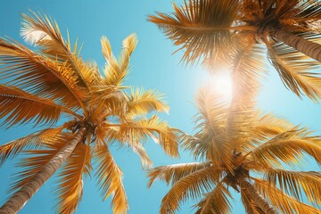 A beautiful sunny day with palm trees in the background. The palm trees are tall and have long leaves. The sky is clear and blue, and the sun is shining brightly. The scene is peaceful and relaxing - Powered by Adobe