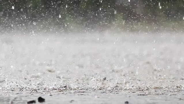 Heavy rain falling on the road surface is caused by seasonal rainstorms and heavy rainstorms reduce visibility and cause dangerous visibility and slippery roads. rain storm background