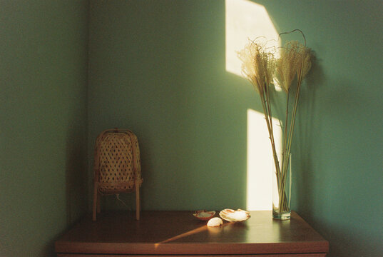 Cozy corner with lamp, sea shells and bouquet of dried flowers