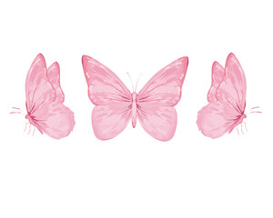 pink watercolor and butterflies illsutration