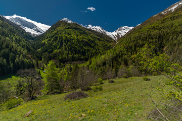 Grund settlement in green valley near Brig town in spring morning
