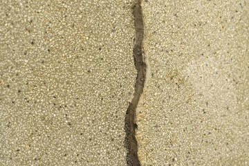 Crack in a Concrete Wall