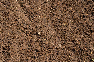Soil background. Closeup view of fertile land.