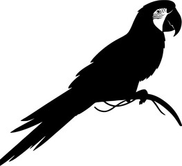 Silhouette of Parrot bird on branch, black and white parrot vector illustration
