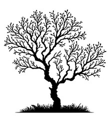 Silhouette branch tree vector illustration, oak tree illustration 