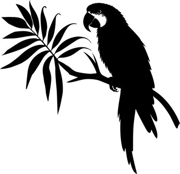 recommend clip art: Silhouette of macaw bird, parrot bird on branch