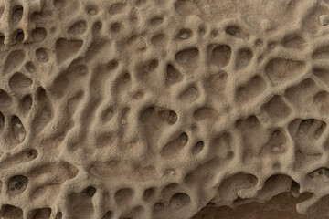 Honeycomb Weathering on Sandstone Surface