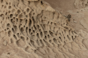 Honeycomb Weathering on Sandstone Surface