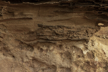 Weathered Sandstone with Multicolored Erosion Marks