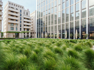 grass on a landscaped green city square and a modern office building in the background