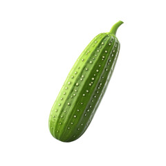 A cucumber isolated on transparent background, png, cut out