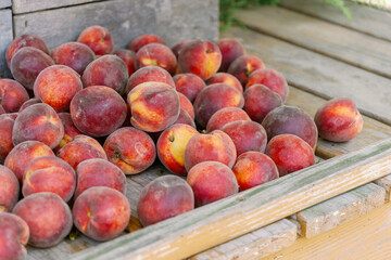 peaches on a table
