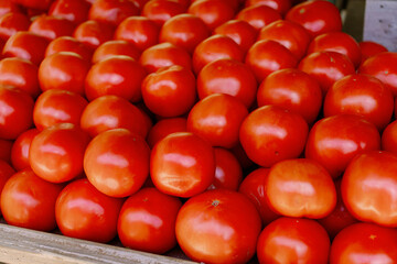 tomatoes on the market
