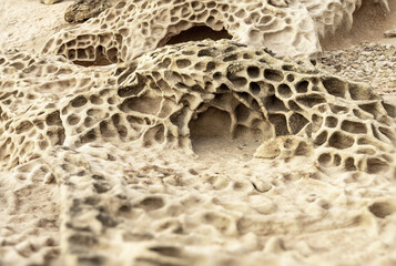 Intricate Honeycomb Weathering on Sandstone Rocks