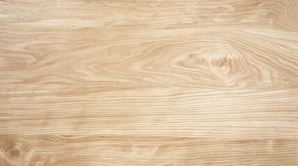 Close-up of a wooden surface with a clear view of the wood grain