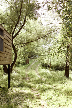 Bolotov datcha, garden