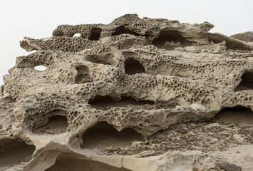 Intricate Honeycomb Weathering on Sandstone Rocks