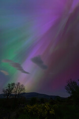 Northern light above Blessington Lakes