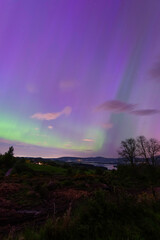 Northern light above Blessington Lakes