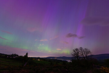 Northern light above Blessington Lakes