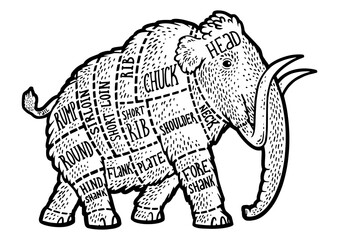 Mammoth meat scheme Cut of beef sketch engraving PNG illustration. T-shirt apparel print design. Scratch board imitation. Black and white hand drawn image.