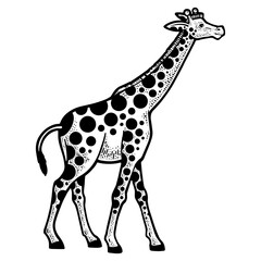 Giraffe animal with circles spots sketch engraving PNG illustration. T-shirt apparel print design. Scratch board imitation. Black and white hand drawn image.