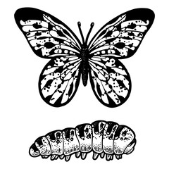 butterfly and caterpillar sketch engraving PNG illustration. T-shirt apparel print design. Scratch board imitation. Black and white hand drawn image.