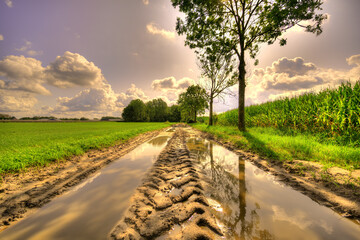 Puddles of water on a country road in a rustic landscape in The Netherlands.
