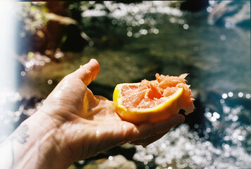 Grapefruit