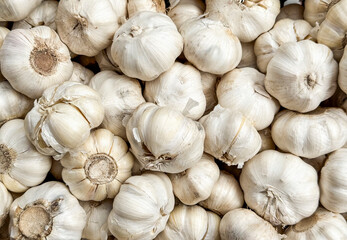 A pile or garlic bulbs