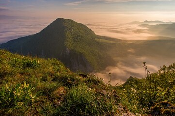 Slovakia forest summer panorama landscape with mountain at sunrise. Manin at summer time, Slovakia mountain, region Povazie. View from Velky Manin to Maly Manin at sunrise.