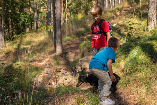 Kids go on an adventure in the woods